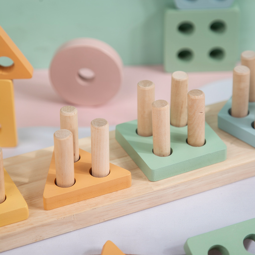 Wooden Montessori Geometric Toy Set